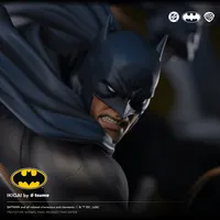 Tsume Art Batman - Ikigai by Tsume - DC Comics - photo 3