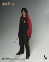 Queen Studios INART - Harry Potter and the Goblet of Fire - Harry Potter 1/6 Collectible Figure - Harry Potter - photo 9