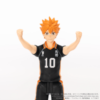 CK-H01 COLLEKAZARO Shoyo Hinata 7