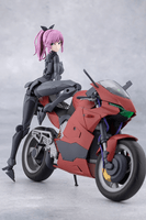 EMULATOR RIDING PACKAGE 19