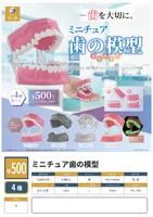 Miniature Tooth Models
