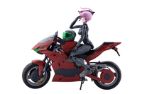 EMULATOR RIDING PACKAGE 25