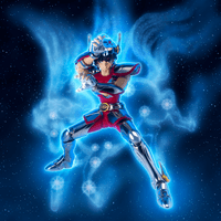 PEGASUS SEIYA [FIRST BRONZE CLOTH] 1