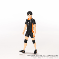 CK-H02 COLLEKAZARO Tobio Kageyama 5